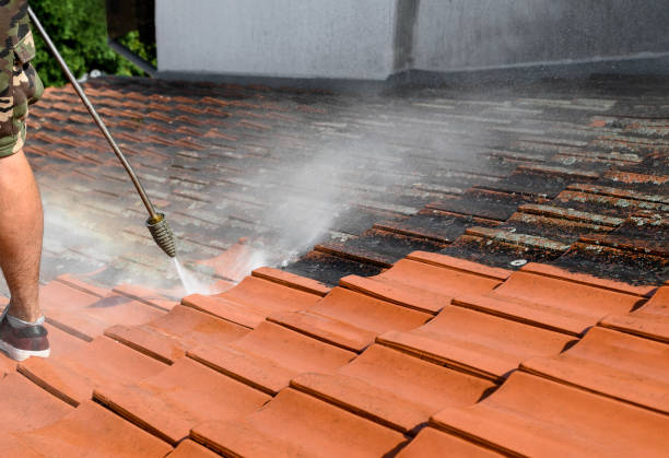 Best Best Pressure Washing Companies  in Lone Tree, IA