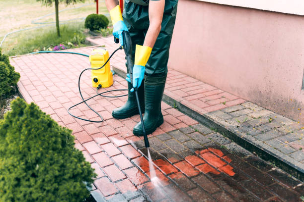 Best Fence Pressure Washing  in Lone Tree, IA