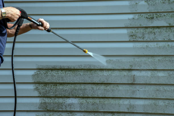 Best Concrete Pressure Washing  in Lone Tree, IA