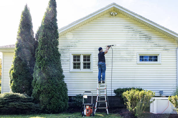 Lone Tree, IA Pressure Washing Company