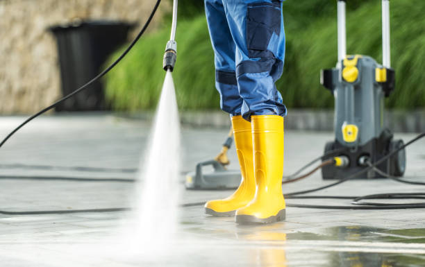 Best Best Pressure Washing Companies  in Lone Tree, IA