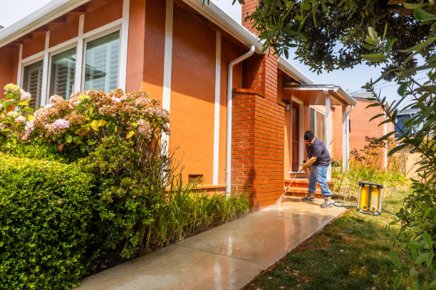 Best Pressure Washing Services for Businesses  in Lone Tree, IA