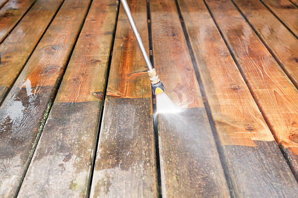 Best Commercial Building Pressure Washing  in Lone Tree, IA