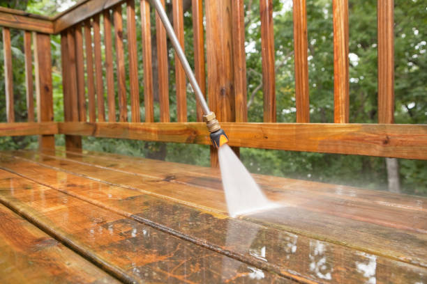 Best Roof Pressure Washing  in Lone Tree, IA