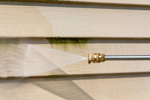Best Exterior Home Cleaning  in Lone Tree, IA
