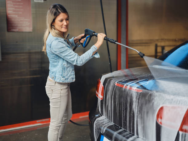 Best House Pressure Washing  in Lone Tree, IA